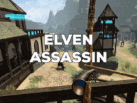 Elven Assassin