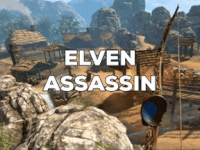 Elven Assassin